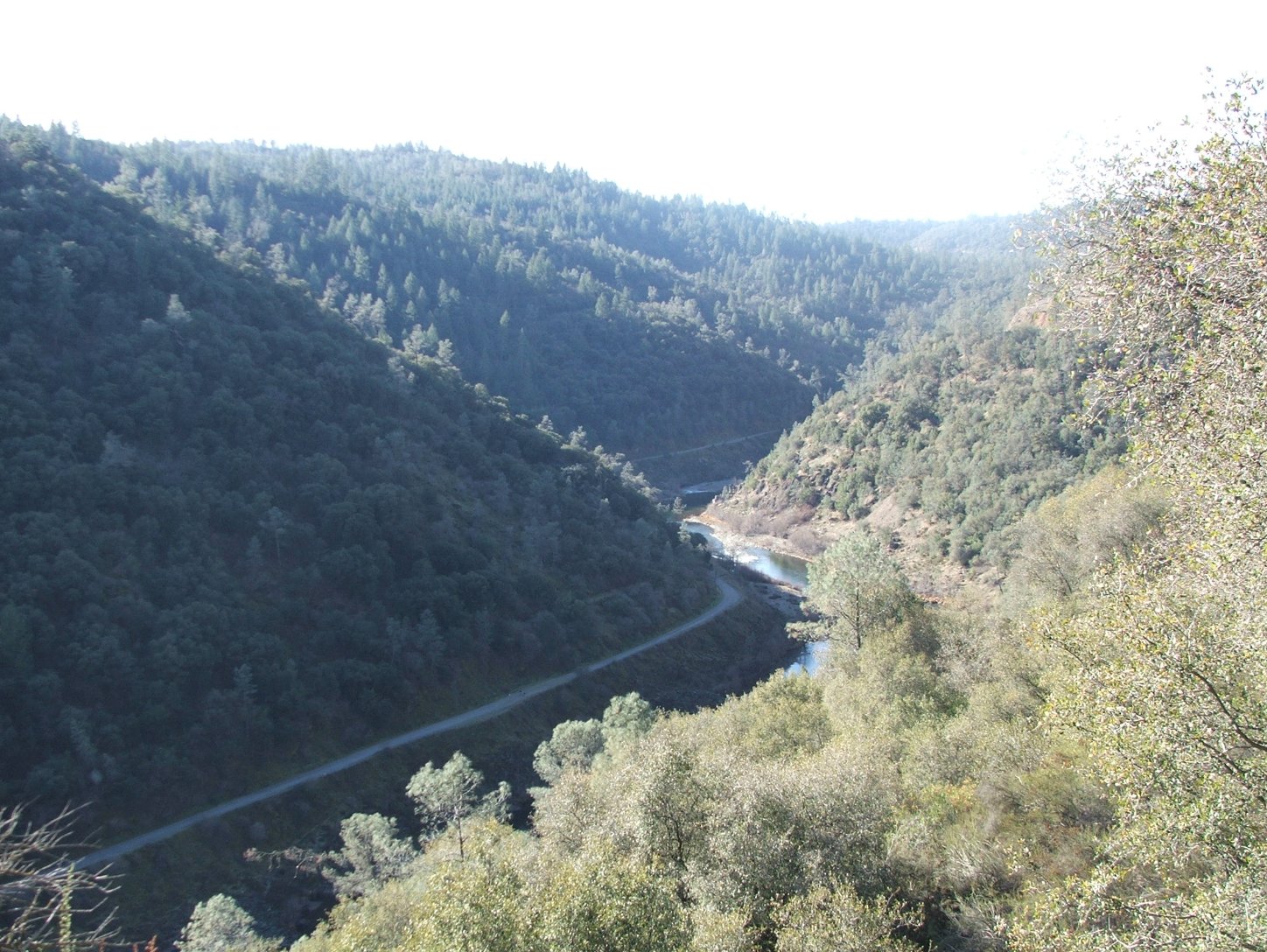 Foresthill Bridge Hike